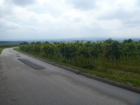 Wandern, Biken, Inlinen