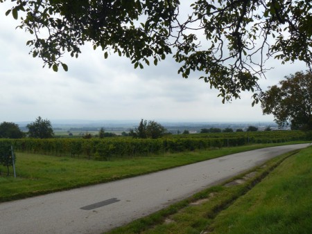Panoramaradweg bis Eisenstadt