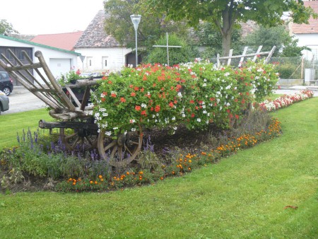 Tradition trifft Blumenstadt