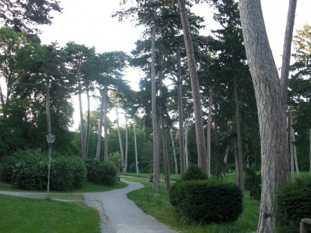 Schlosspark: Einzigartige Baumvielfalt