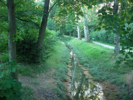 Gehen Sie auf Entdeckungsreise