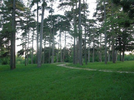 Wege entstehen, indem man Sie geht